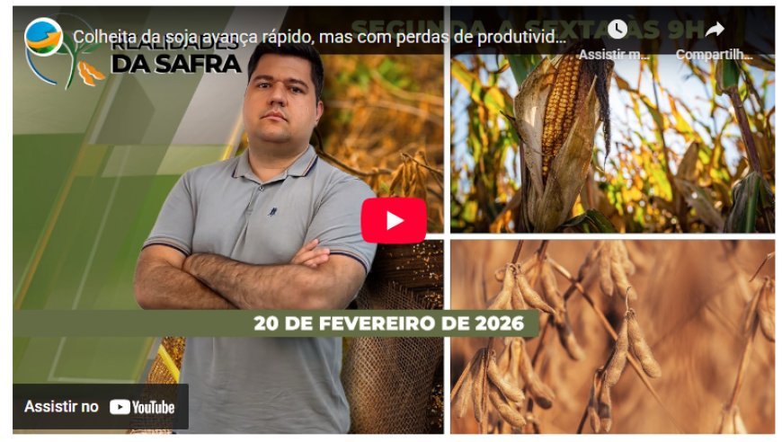 Colheita da soja avança rápido, mas com perdas de produtividade em Maracaju/MS