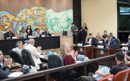 Câmara de Ponta Porã cobra mais recursos estaduais para reforçar segurança pública