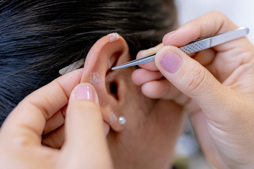 PRATICAS INTEGRATIVAS E COMPLEMENTARES (SUS) – ANTÔNIO JOÂO (MS)