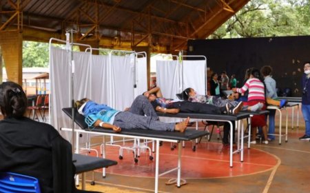 SES-MS confirma mais 2 mortes por chikungunya e total chega a 10 em 2026