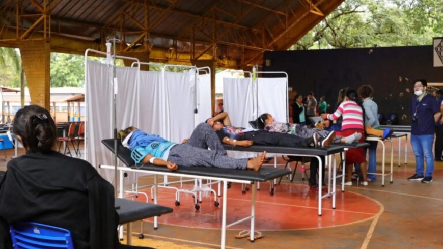 SES-MS confirma mais 2 mortes por chikungunya e total chega a 10 em 2026