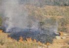 Incêndio que gerou multa milionária para fazenda em Porto Murtinho vira alvo de investigação