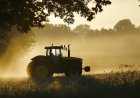Construtora solicita licença de operação para extração mineral em fazenda de Porto Murtinho