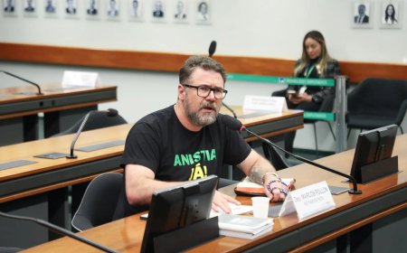 Pollon alega perseguição após Conselho da Câmara recomendar suspensão de 2 meses