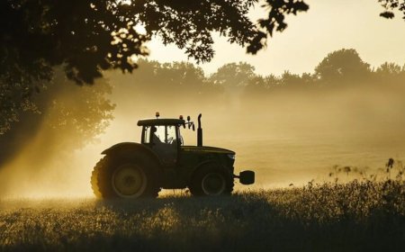 Construtora solicita licença de operação para extração mineral em fazenda de Porto Murtinho