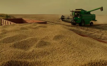 Maior produtor de soja de MS, Ponta Porã colhe mais do que toda a Itália