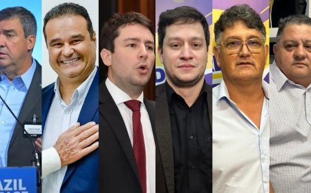 Pesquisa Novo Ibrape: Riedel permanece estável com 46,6%; Fábio e João Henrique avançam