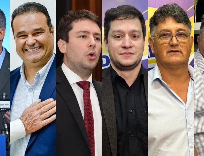 Pesquisa Novo Ibrape: Riedel permanece estável com 46,6%; Fábio e João Henrique avançam