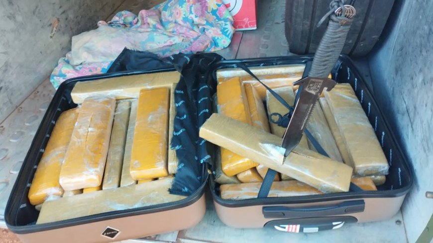 Passageiro é preso com 31 kg de maconha em mala na MS-164 em Ponta Porã