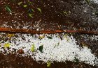 Após Ventania,  ciclone-bomba causa temporal com granizo em Antônio João