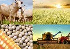 EDITORIAL:  A importância do Mato Grosso do Sul para a economia brasileira